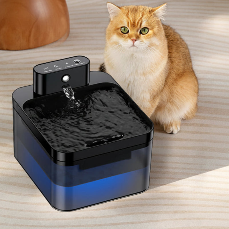 Smart Wireless Pet Water Fountain